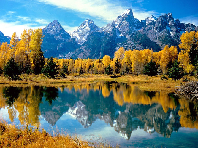 Autumn Grandeur