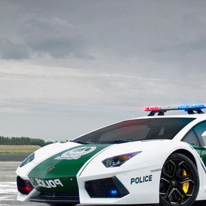 Police Car