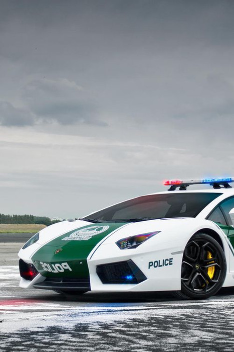 Police Car